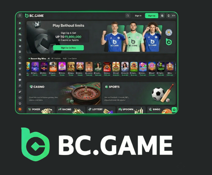 Download the BC App Your Ultimate Tool for Easy Management